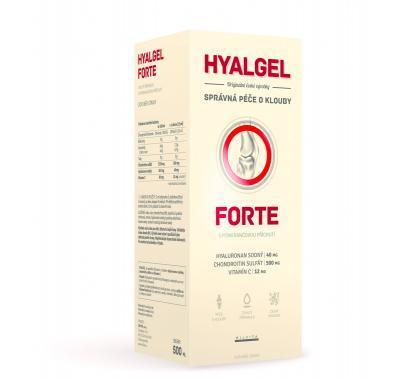 Hyalgel forte pomeranč 500 ml