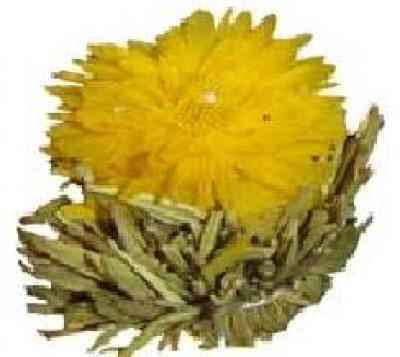 Kvetoucí čaj Květ zotavení